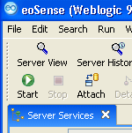 eoSense GUI green start button